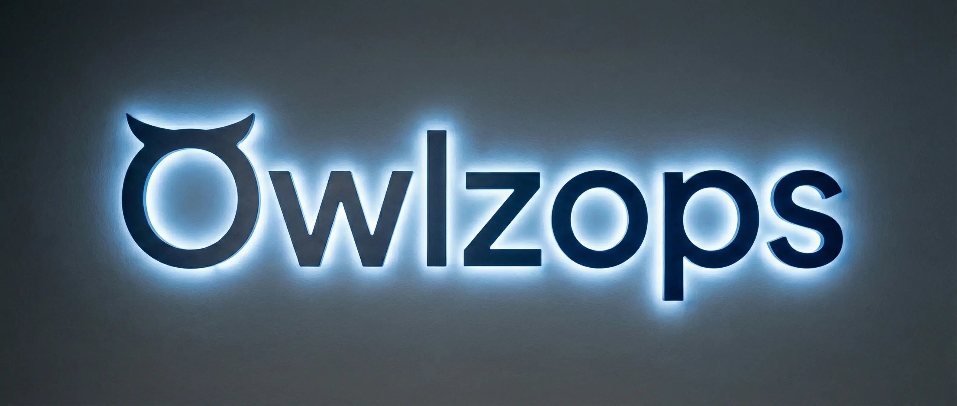 Owlzops Background